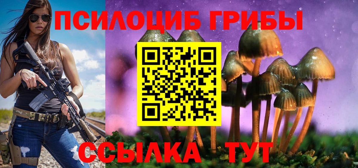 Псилоцибиновые грибы Cubensis  дарнет шоп  Тара  Вход с VPN 