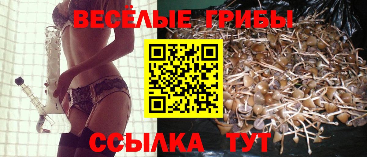 Галлюциногенные грибы Magic Shrooms Тара